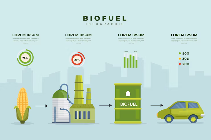 "Biofuel infographic showing the process from corn to biofuel production and usage in a car, with icons and percentage data highlighting production and efficiency."
